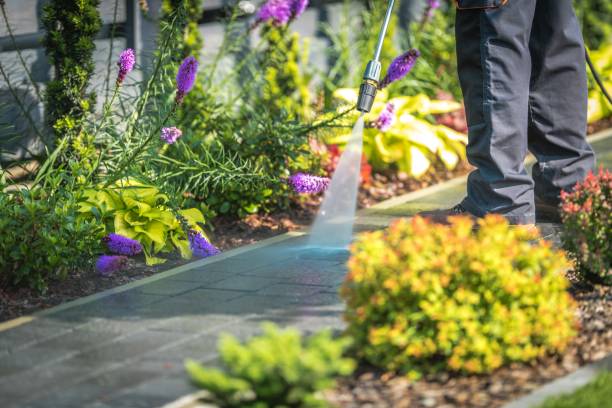 Best Parking Lot and Garage Cleaning  in Navarre, FL